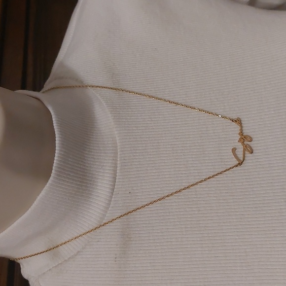 SIGMA Gold Plated Name Script Dainty Personalized Necklace - Picture 3 of 6